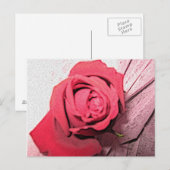 Rote Rose Postkarte (Vorne/Hinten)