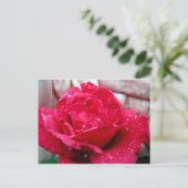 Rote Rose Postkarte (Stehend Vorderseite)
