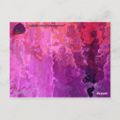Rote Rose Postkarte (Rückseite)