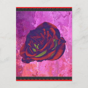 Rote Rose Postkarte