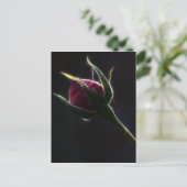 rote Rose Postkarte (Stehend Vorderseite)