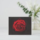 rote Rose Postkarte (Stehend Vorderseite)