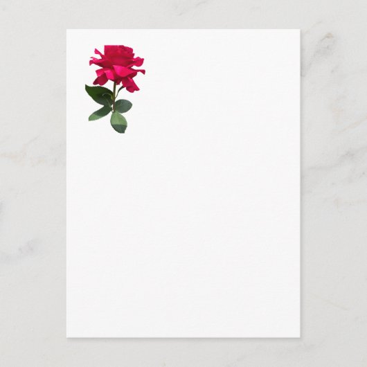 Rote Rose Postkarte (Vorderseite)
