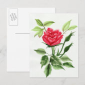 Rote Rose Postkarte (Vorne/Hinten)