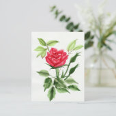 Rote Rose Postkarte (Stehend Vorderseite)