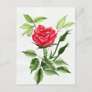 Rote Rose Postkarte