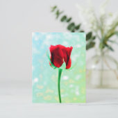 Rote Rose Postkarte (Stehend Vorderseite)