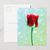 Rote Rose Postkarte (Vorne/Hinten)