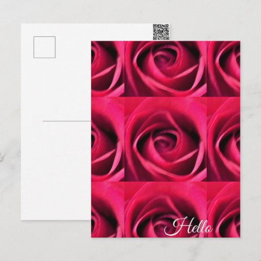 Rote Rose Postkarte (Vorne/Hinten)