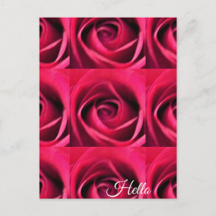 Rote Rose Postkarte