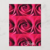 Rote Rose Postkarte (Vorderseite)
