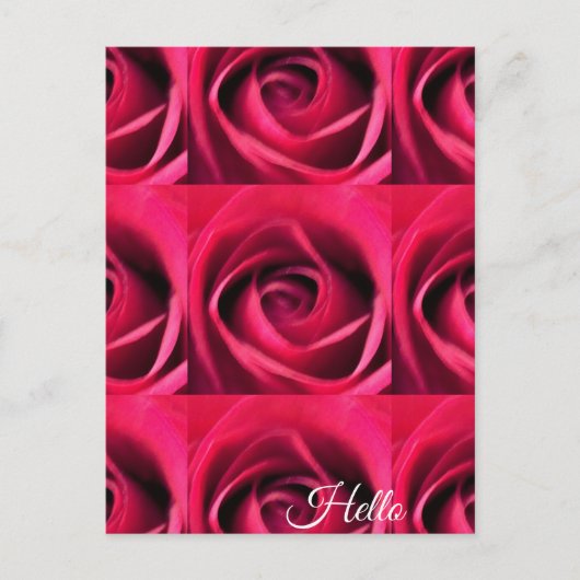 Rote Rose Postkarte (Vorderseite)