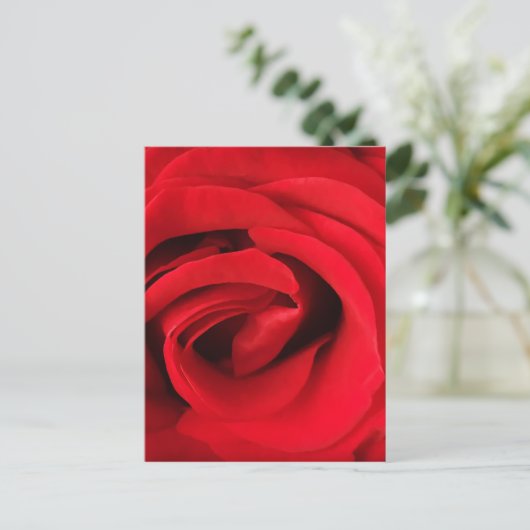 Rote Rose Postkarte (Stehend Vorderseite)