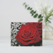 Rote Rose - Postkarte (Stehend Vorderseite)