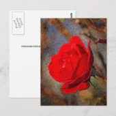 Rote Rose Postkarte (Vorne/Hinten)