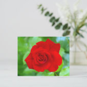 Rote Rose Postkarte (Stehend Vorderseite)