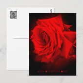 rote Rose: Postkarte (Vorne/Hinten)