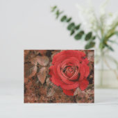 rote Rose [Postkarte] Postkarte (Stehend Vorderseite)