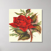 Rote Rose Premium Wrapped Canvas (Glanz) Leinwanddruck (Vorderseite)