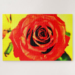 Rote Rose Puzzle