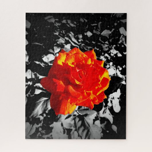 Rote Rose Puzzle (Vertikal)