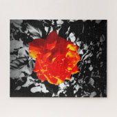 Rote Rose Puzzle (Horizontal)