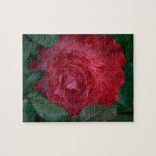 Rote Rose Puzzle (Horizontal)