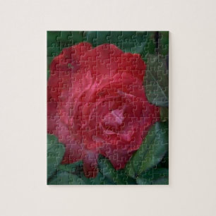 Rote Rose Puzzle