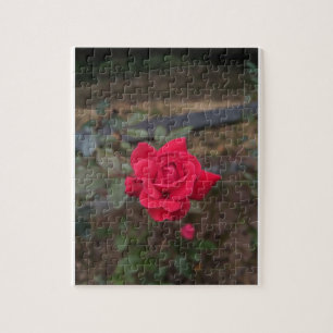 Rote Rose Puzzle