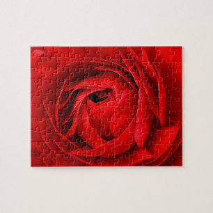 ROTE ROSE PUZZLE