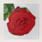 Rote Rose Puzzle (Horizontal)