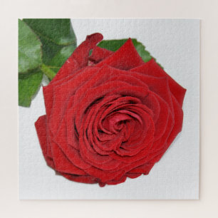 Rote Rose Puzzle