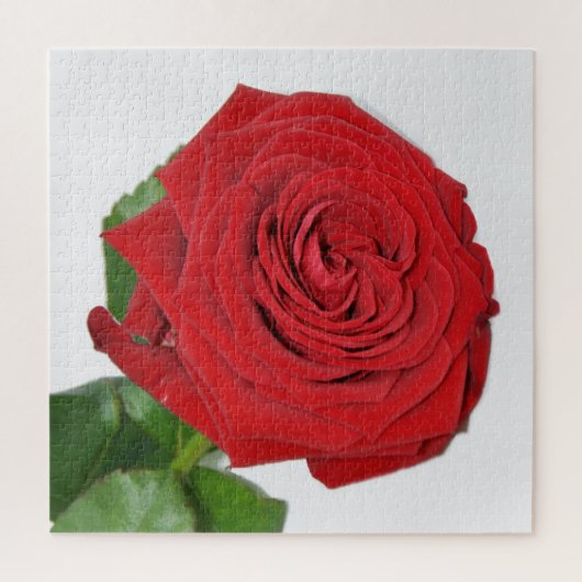 Rote Rose Puzzle (Vertikal)