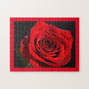 Rote Rose Puzzle