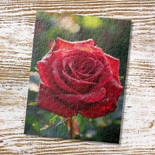 Rote Rose Puzzle