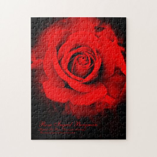 Rote Rose [Puzzle (252 Stück)] Puzzle (Vertikal)