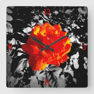 Rote Rose-Quadrat-Uhr Quadratische Wanduhr