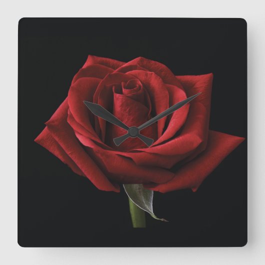 Rote Rose Quadratische Wanduhr (Vorderseite)