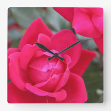 ROTE ROSE