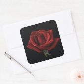 Rote Rose Quadratischer Aufkleber (Umschlag)