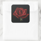 Rote Rose Quadratischer Aufkleber (Tasche)