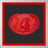 Rote Rose Raindrops Design Blumenplakat Poster (Vorne)