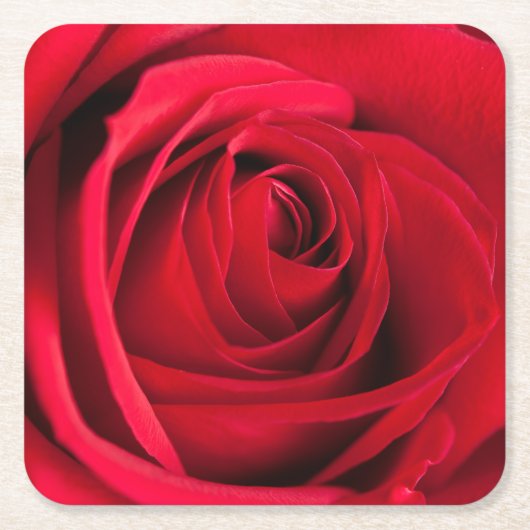 Rote Rose Rechteckiger Pappuntersetzer (Vorderseite)