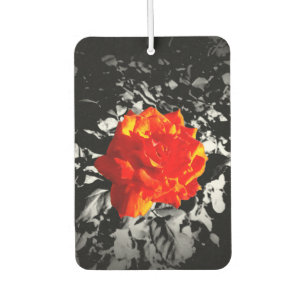 Rote Rose Rectangle Air Freshener Autolufterfrischer