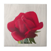 Rote Rose - Red rose Fliese (Vorderseite)