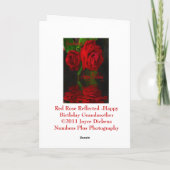 Rote Rose reflektiert - alles- Gute zum Karte (Rückseite)