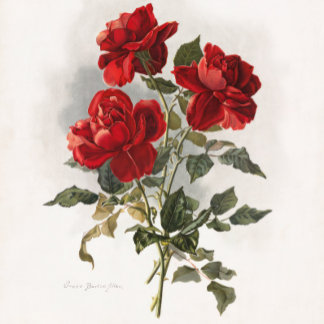 Rote Rose, romantische Rose. Tragetasche