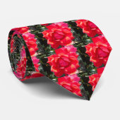 Rote Rose / Rosa Koralle Krawatte (Gerollt)