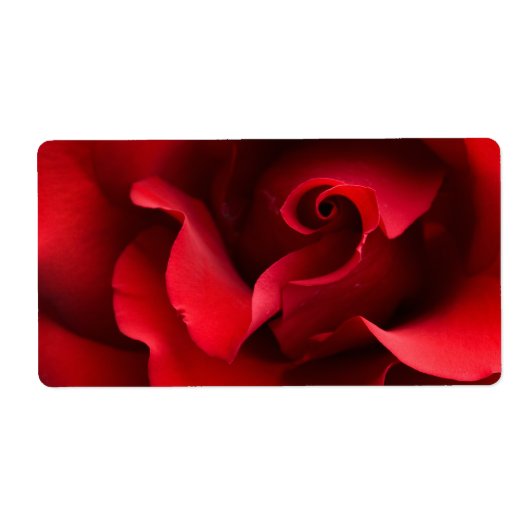 Rote Rose - Rose Maßgeschneiderte Vorlage (Vorne)