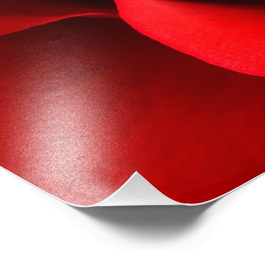 Rote Rose - Rose Maßgeschneiderte Vorlage Fotodruck (Ecke)